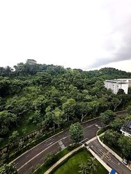 Blk 37 Telok Blangah Rise (Bukit Merah), HDB 5 Rooms #563675891